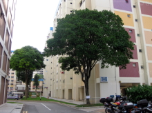 Blk 688 Hougang Street 61 (Hougang), HDB 3 Rooms #251512